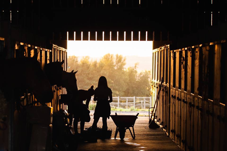 Events at Synergy Stables