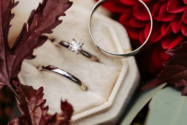 Melissa Miley Photography