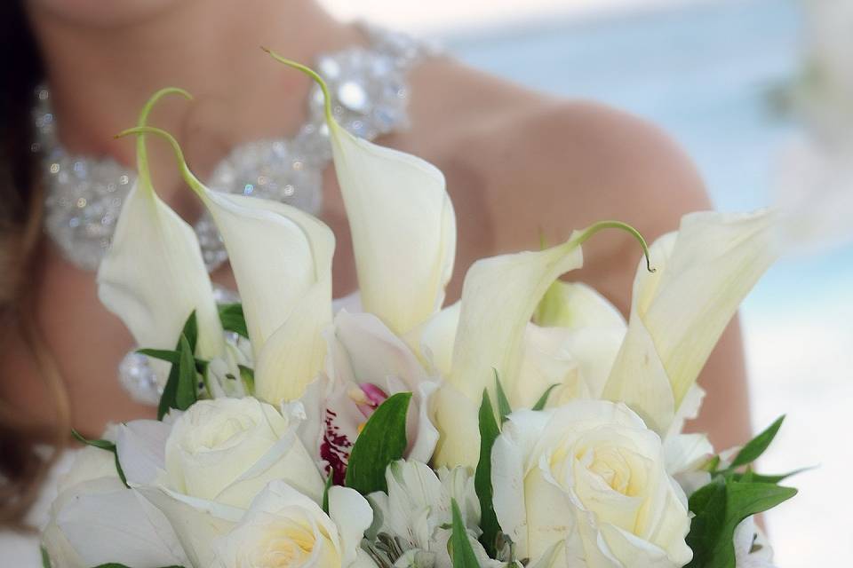 Bahamas Wedding Planner