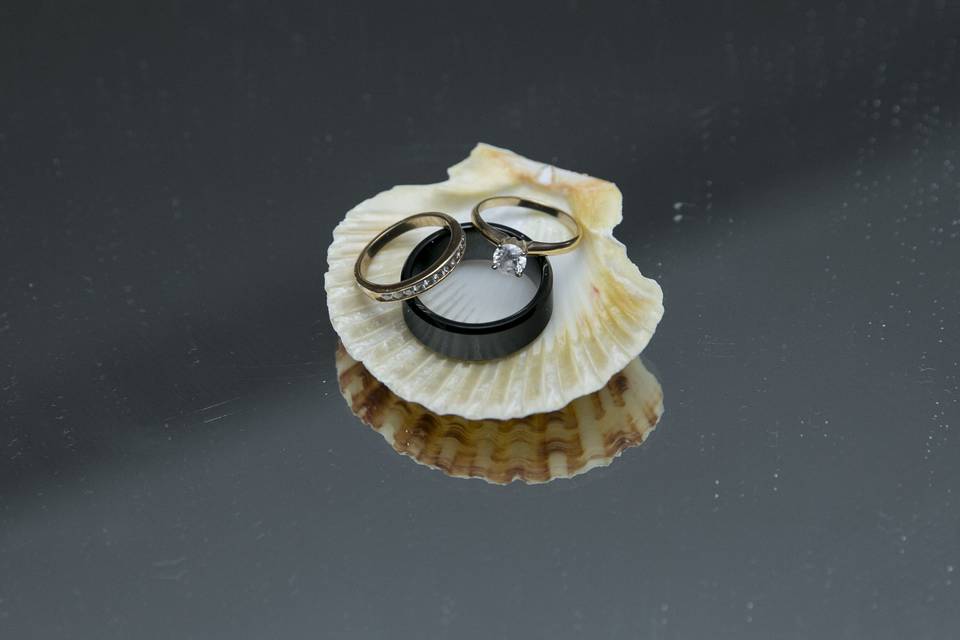 Wedding rings shell