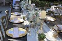 Swanky Soiree Events