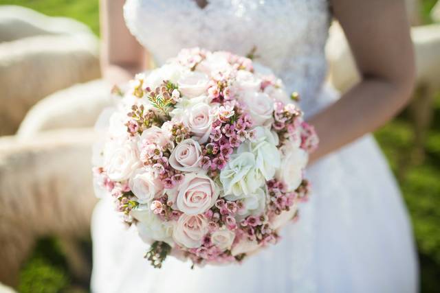 Petal & Stem