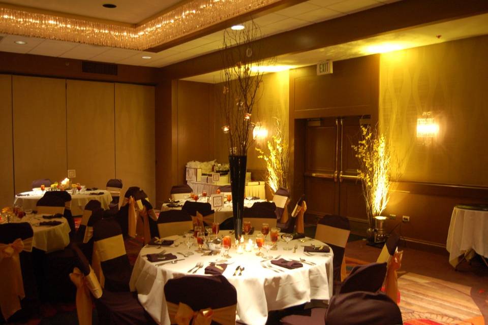 All Sounds Unlimited up lighting and decor at the Crowne Plaza in Downtown Dayton, Ohio for a wedding