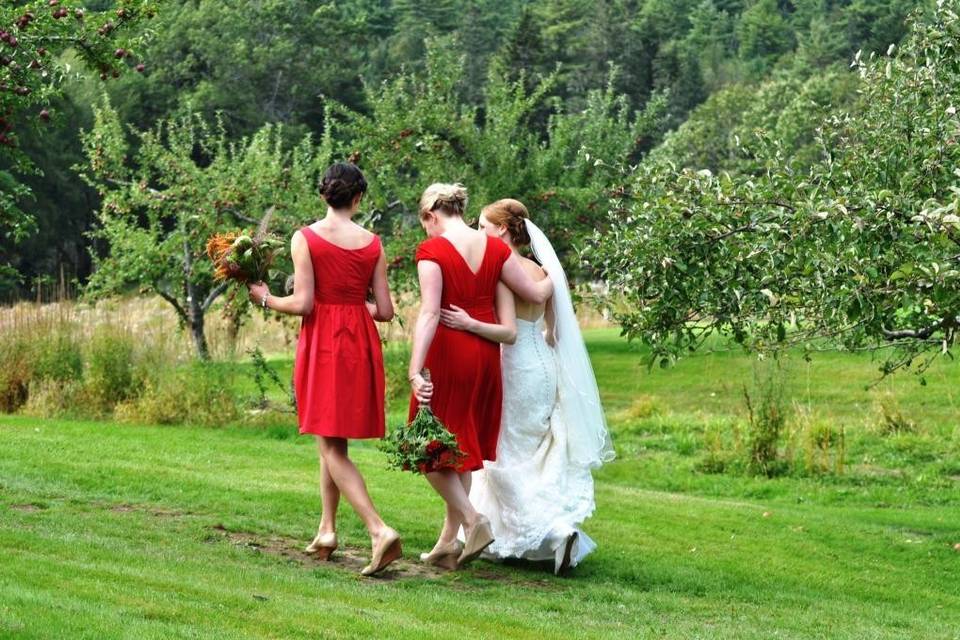 Fall wedding reception in the orchard