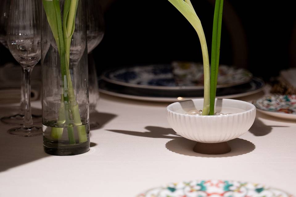 Tulip and elegance