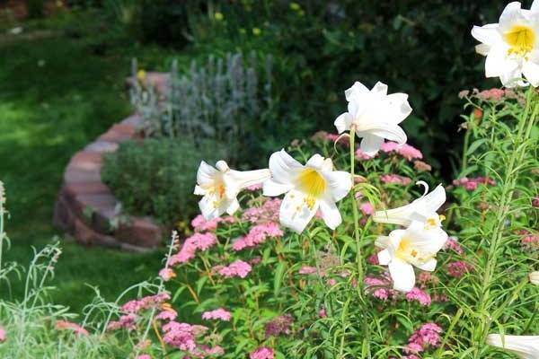 Historic Callahan House and Garden