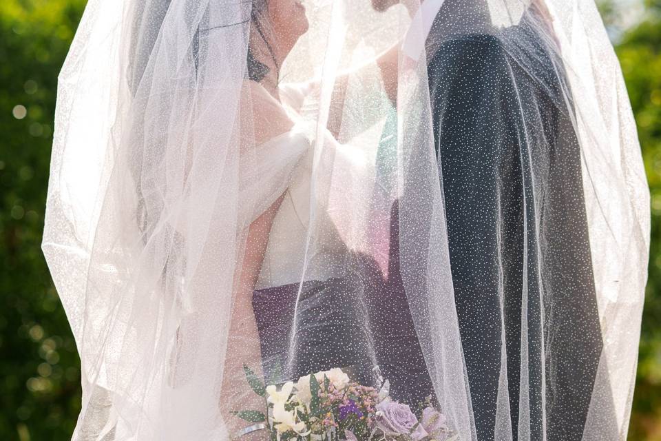 Veil Photo