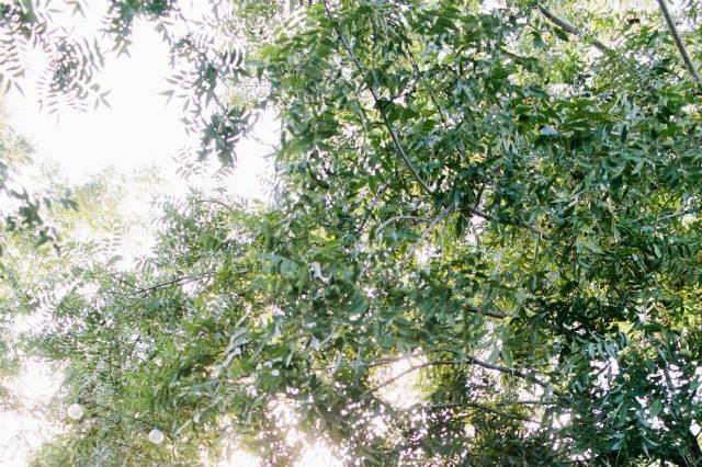 Outdoor wedding ceremony