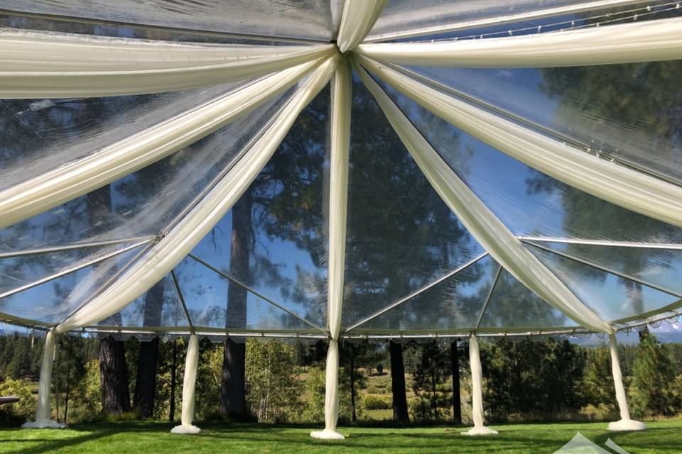 HOM 40x40 Clear Canopy 2