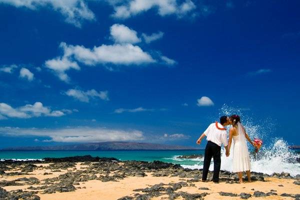 A Paradise Dream Wedding