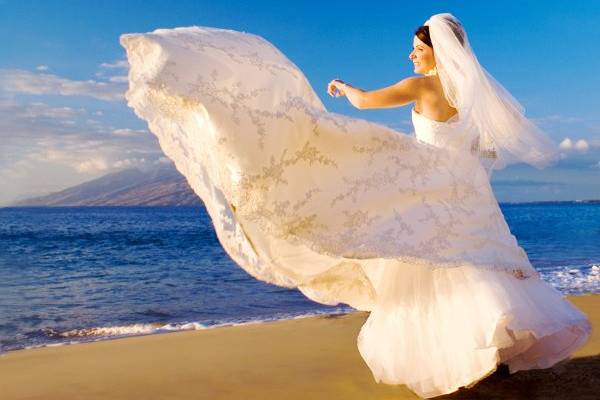 A Paradise Dream Wedding