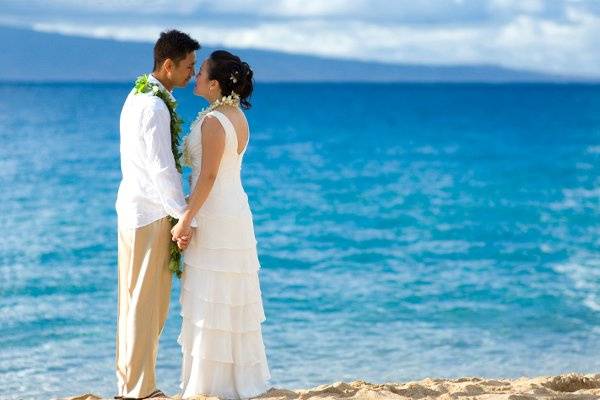 A Paradise Dream Wedding