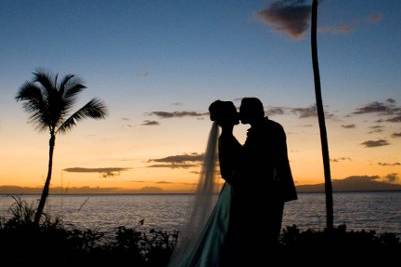 A Paradise Dream Wedding