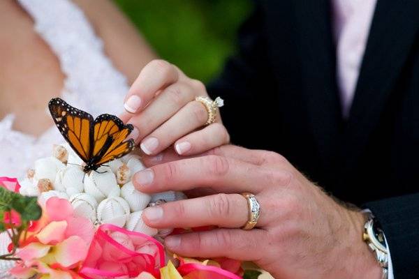 A Paradise Dream Wedding