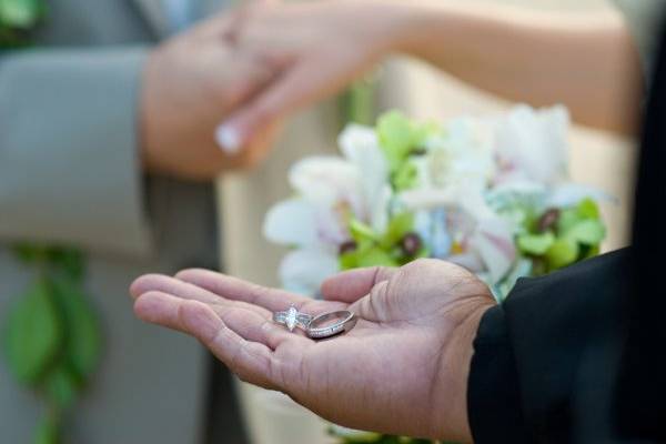 A Paradise Dream Wedding