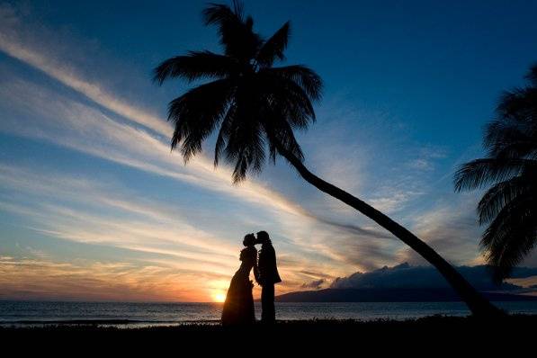 A Paradise Dream Wedding