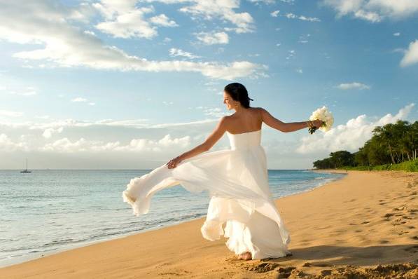 A Paradise Dream Wedding