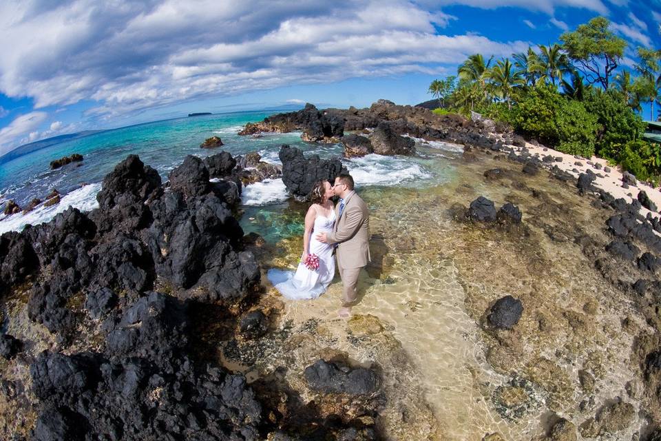 A Paradise Dream Wedding