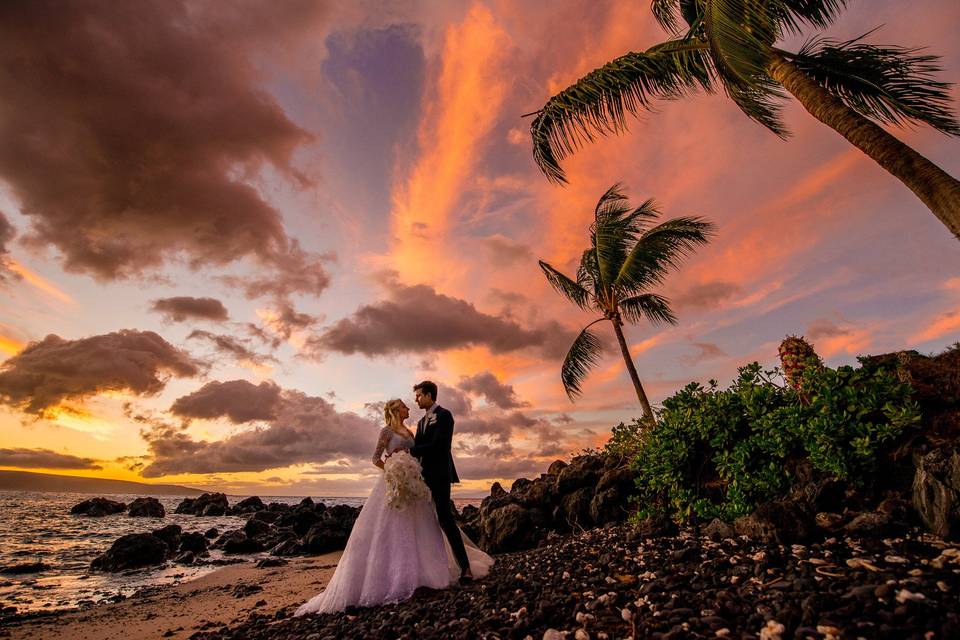 A Paradise Dream Wedding