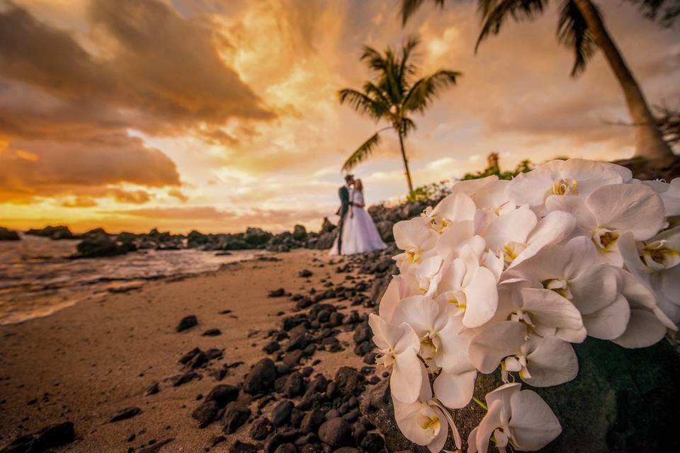 A Paradise Dream Wedding