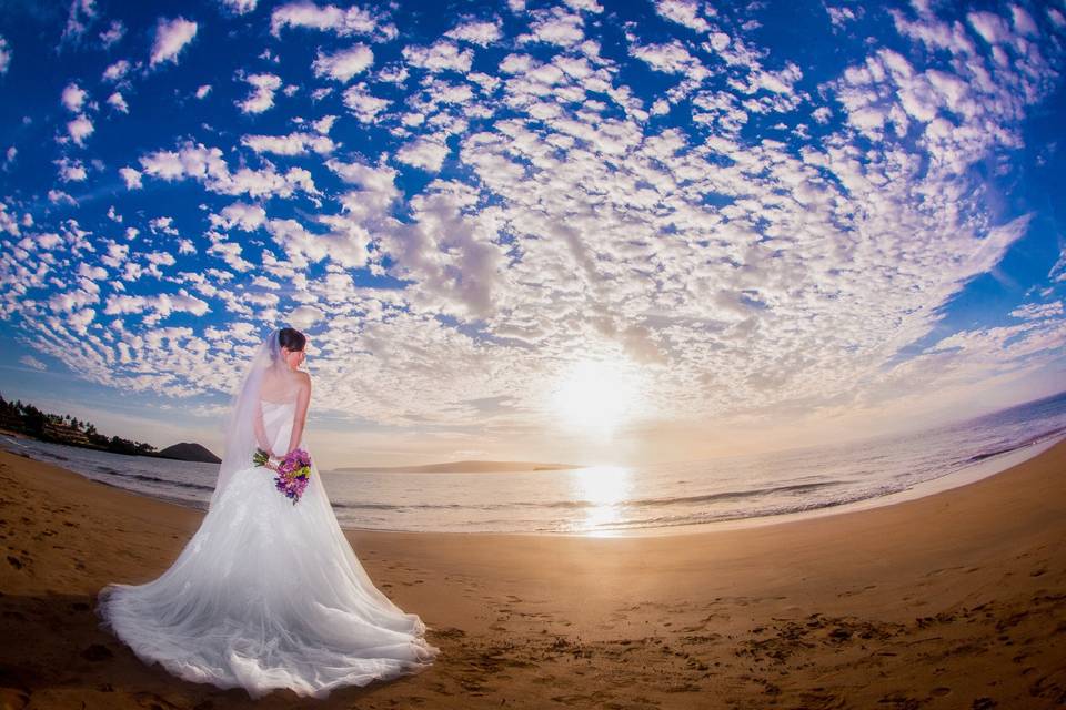 A Paradise Dream Wedding