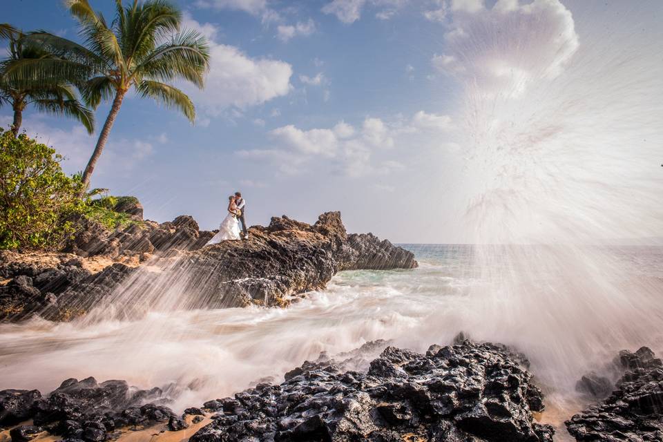 A Paradise Dream Wedding