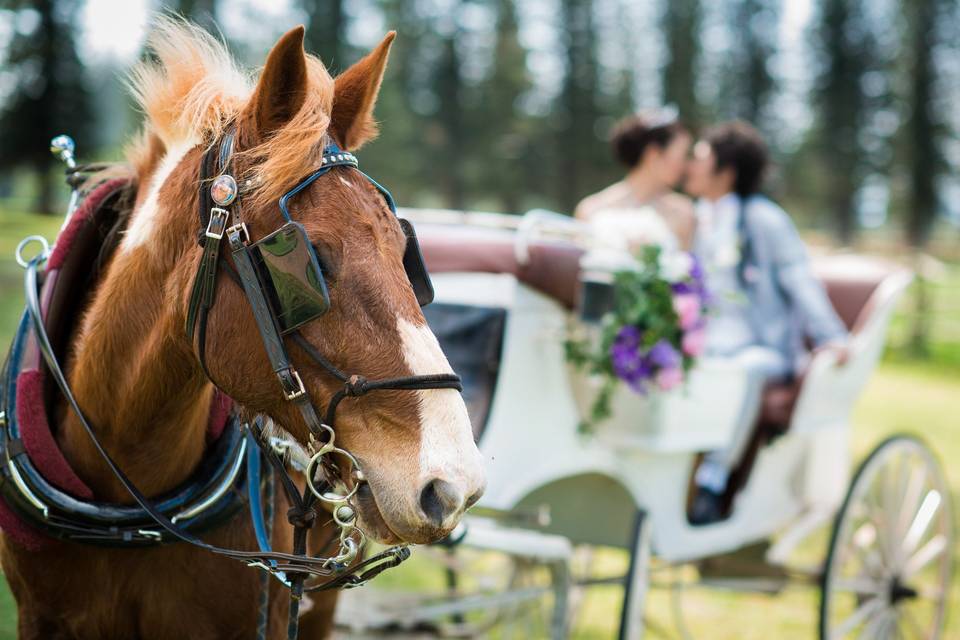 A Paradise Dream Wedding