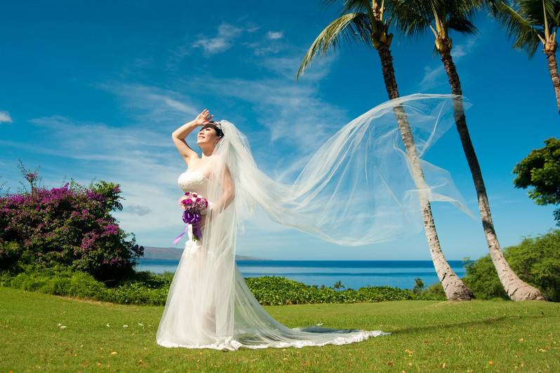 A Paradise Dream Wedding