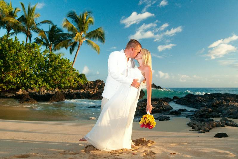 A Paradise Dream Wedding