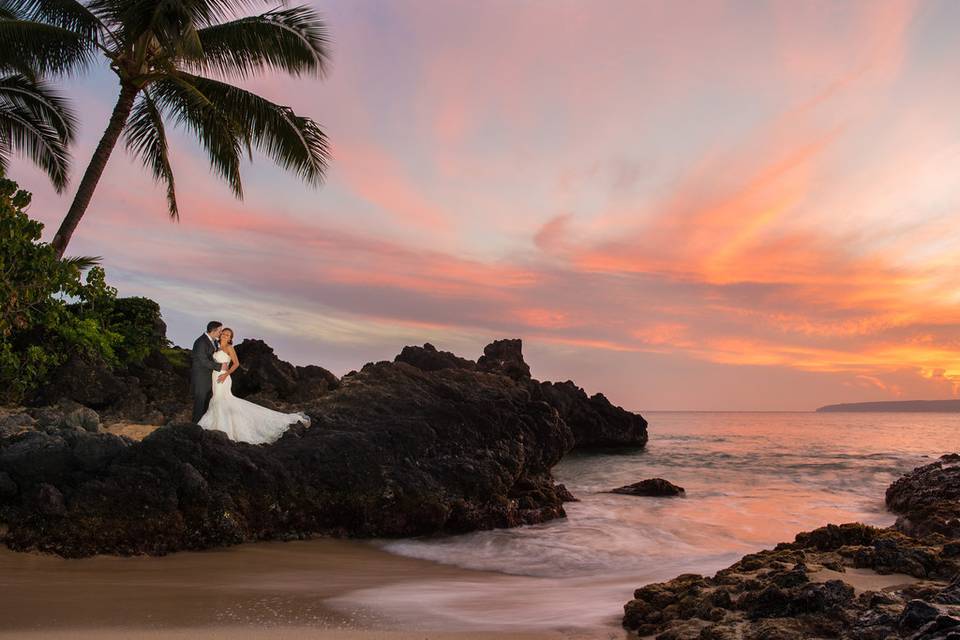 A Paradise Dream Wedding