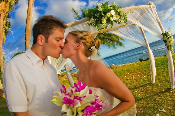 A Paradise Dream Wedding