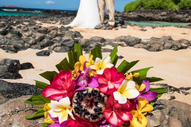 A Paradise Dream Wedding