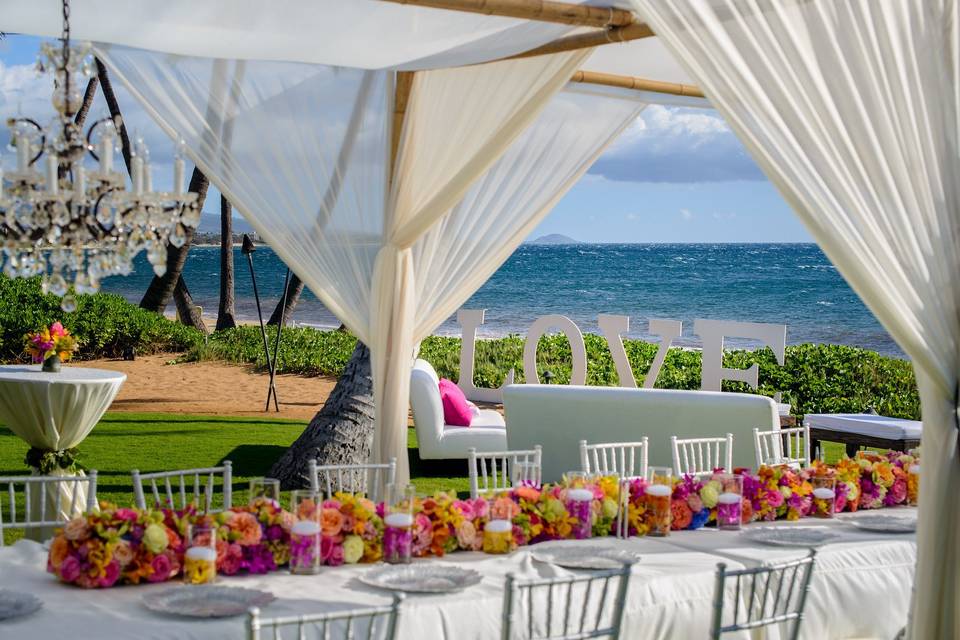 A Paradise Dream Wedding