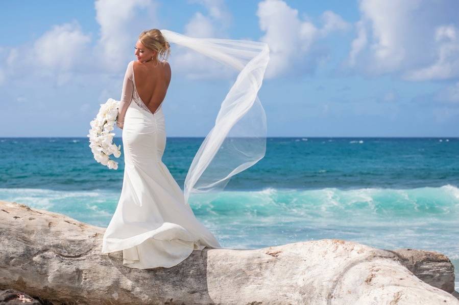 A Paradise Dream Wedding