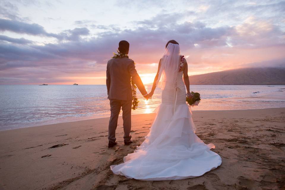 A Paradise Dream Wedding