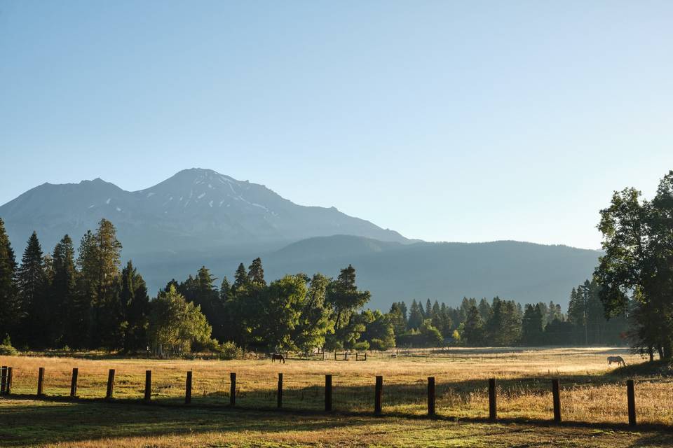 Mount Shasta