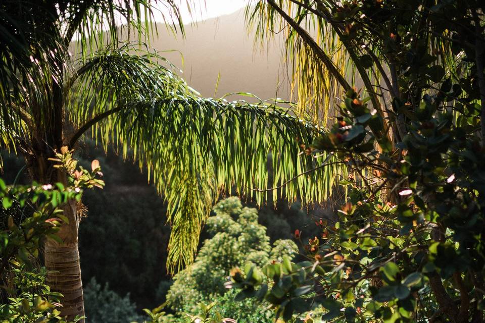 Tropical wedding in Greece