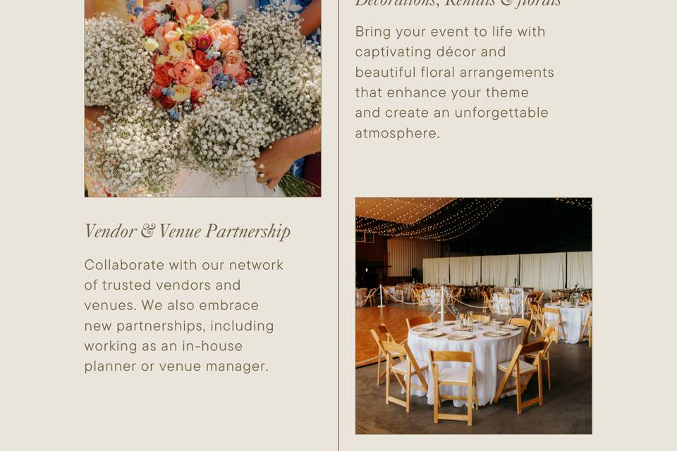 What we offer