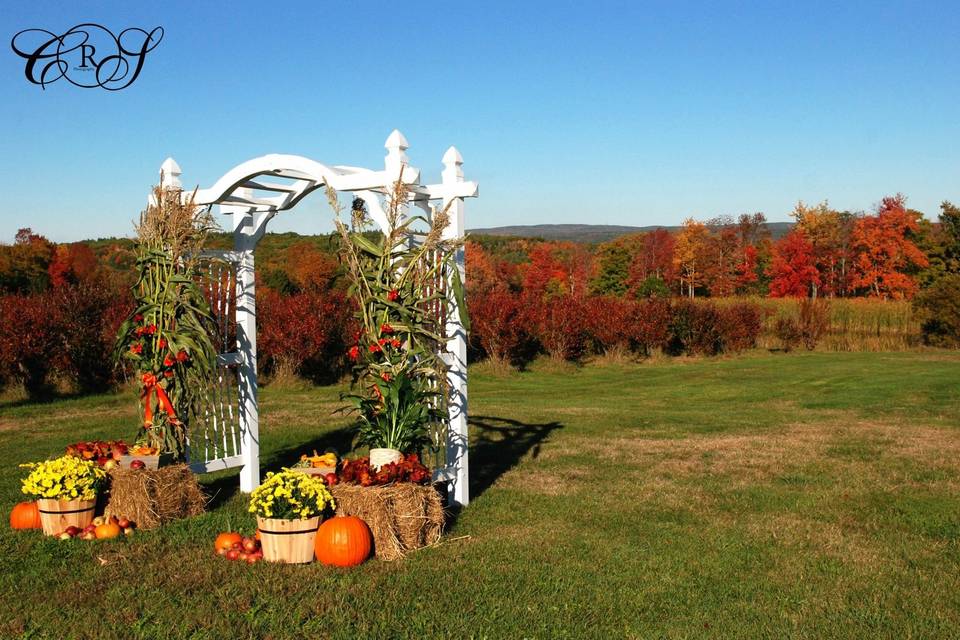 Blueberry Hill Farm