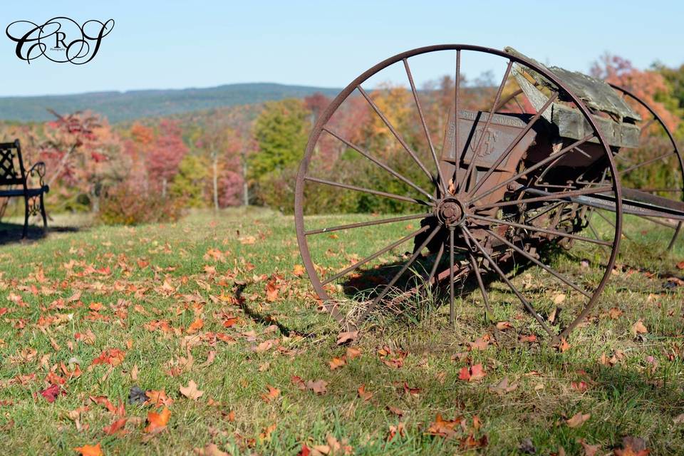 Blueberry Hill Farm