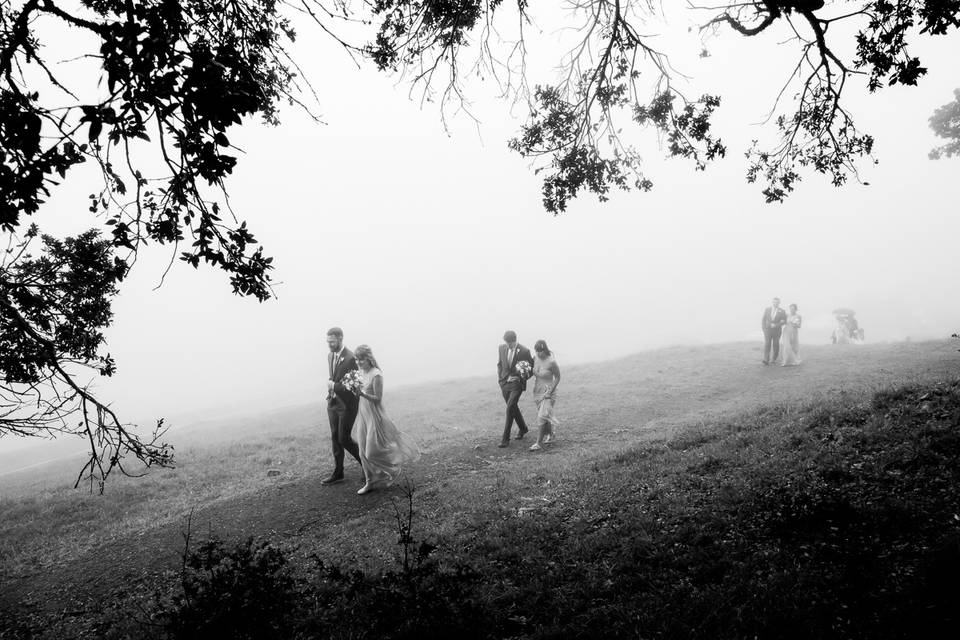 Mt Tam Marin Wedding