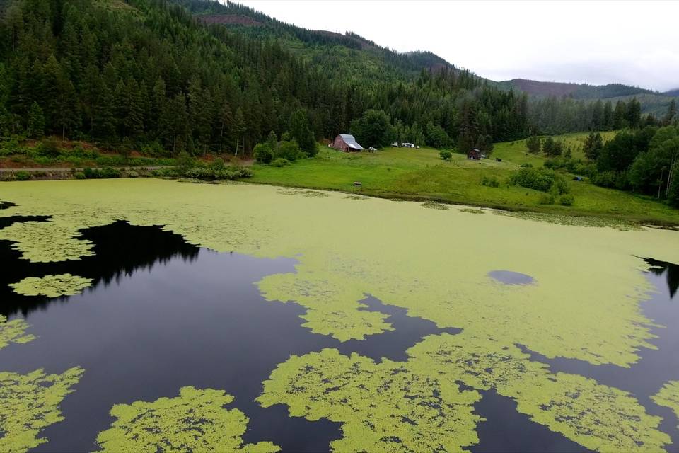 Drone shot of lake