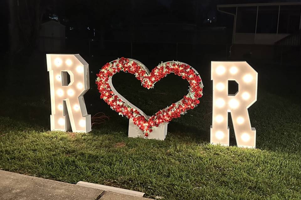 IMG_2018.jpeg