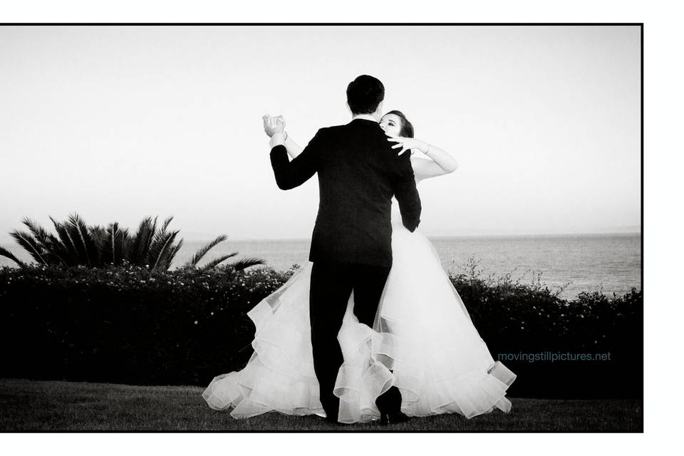 Moving Still Pictures -Weddings & Event Photography