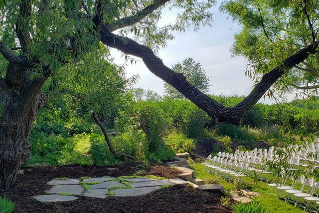 Tree site
