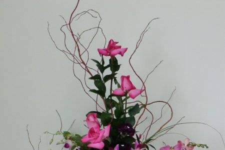 Distinctive Design by Trish