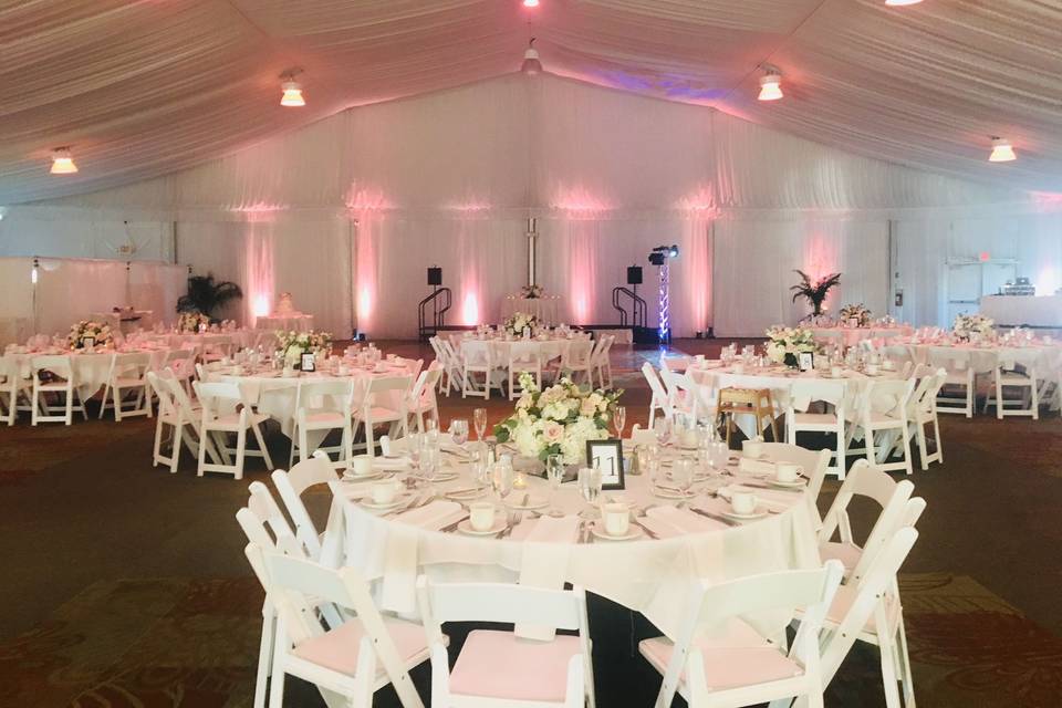 Expert Wedding Productions