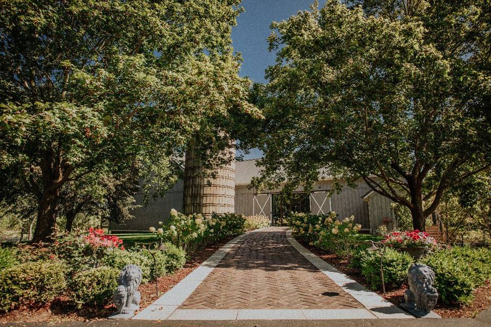 Trees and walkway