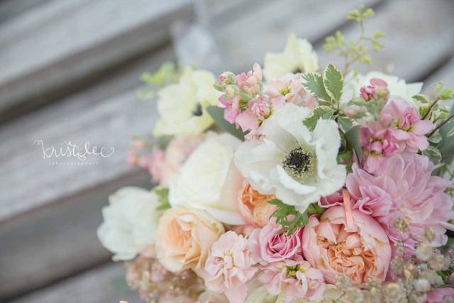 Kristi Lee Photography