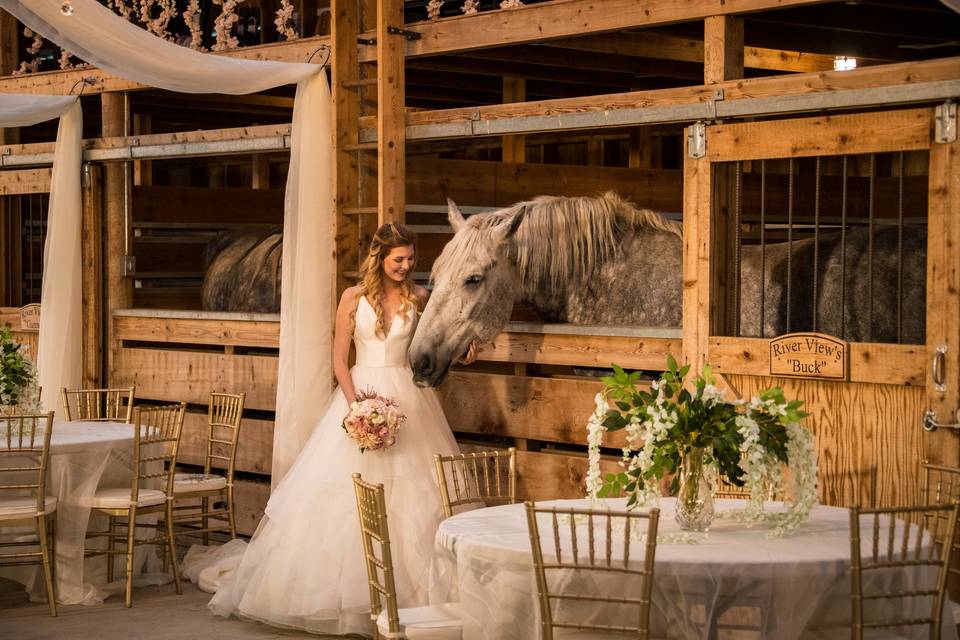 Luxury, rustic barn wedding